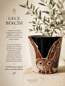 Night Owl Orkide Saksı