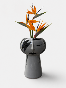 Stardust Planter